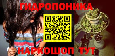 PSILOCYBIN Чапаевск
