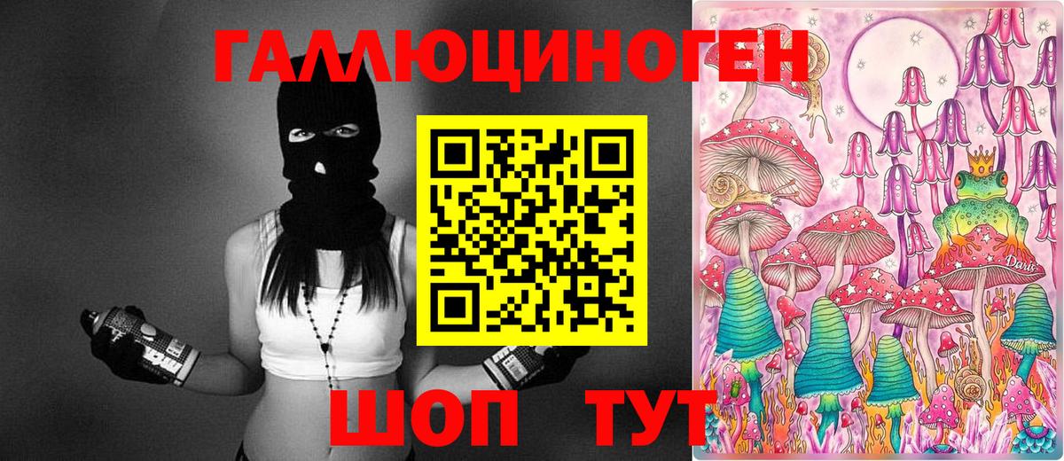 Псилоцибиновые грибы Psilocybe Архангельск